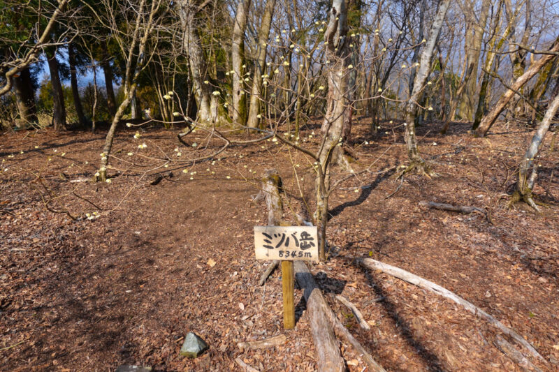 ミツバ岳山頂