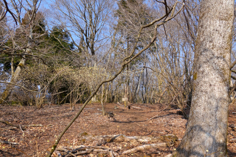 ミツバ岳山頂