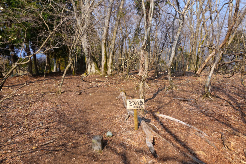 ミツバ岳山頂