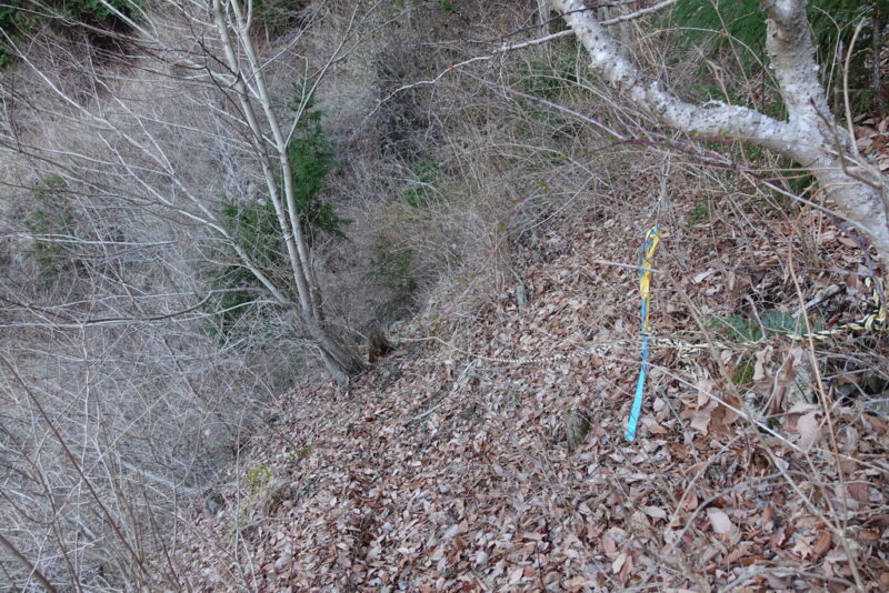 大倉高原山の家の近くの水場(沢)~林道までの道