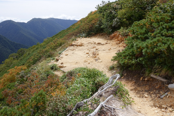 ヒュッテ西岳のテント場