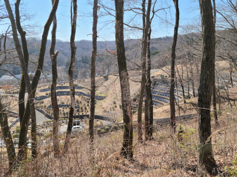 公園墓地