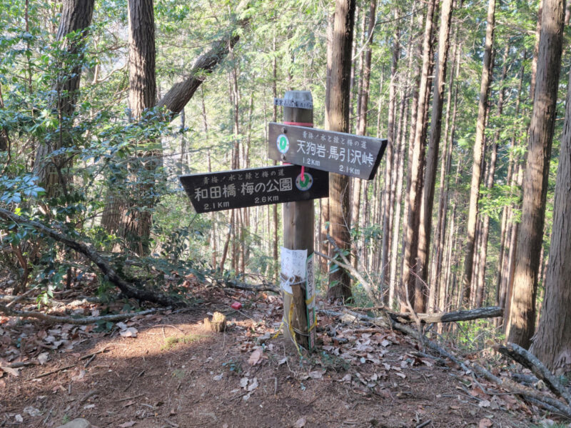 要害山の山頂
