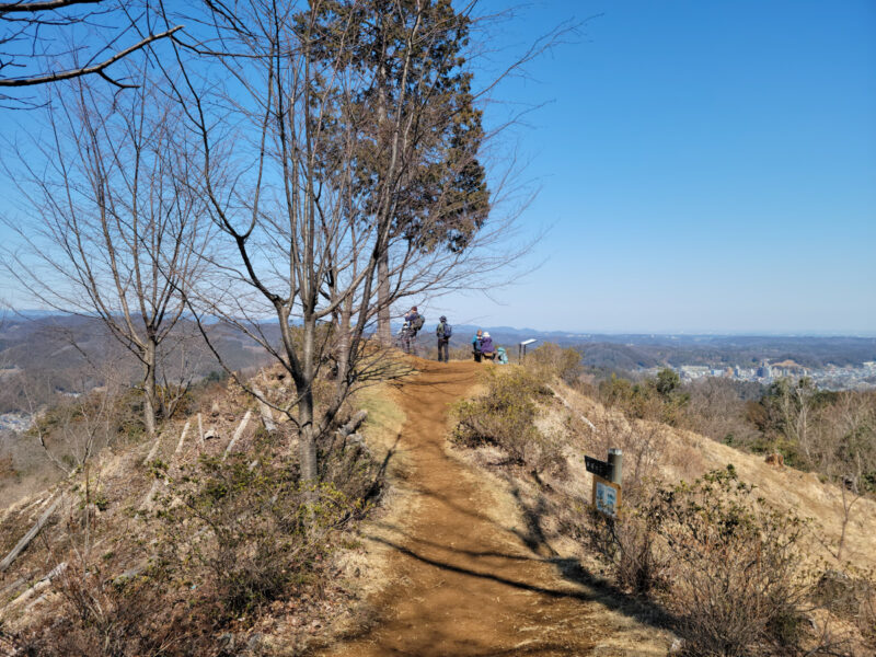 赤ぼっこ山頂