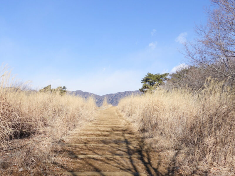 三湖台へ続く山道