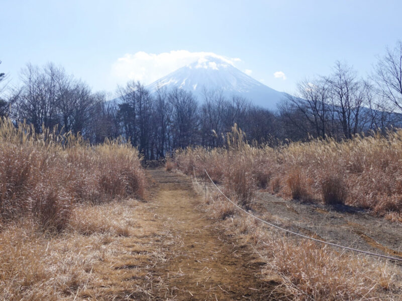 三湖台からの富士山