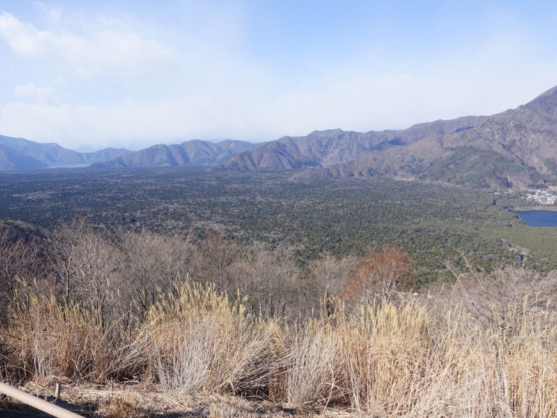 三湖台から樹海