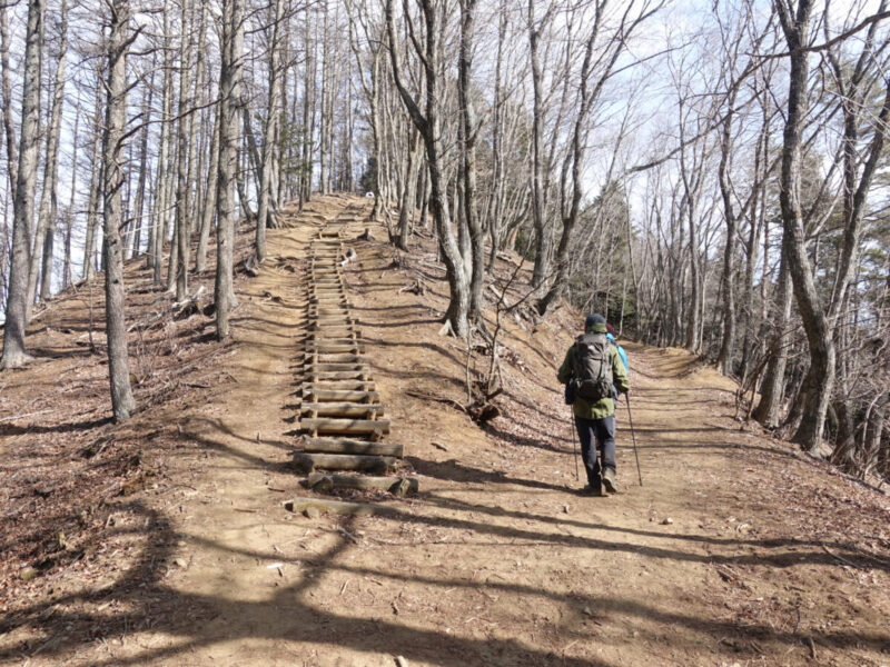 三湖台~足和田山の山道