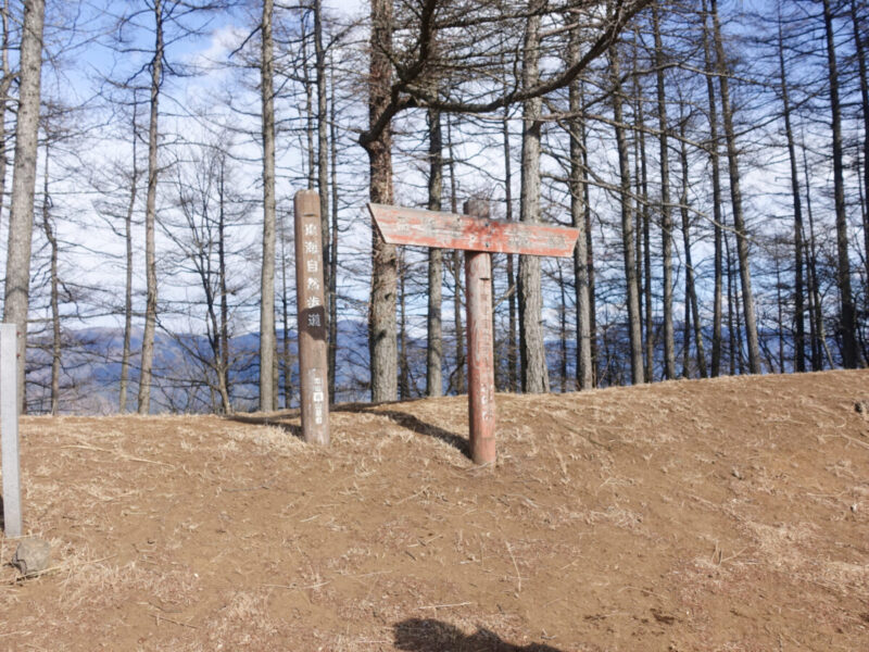 足和田山(五湖台)の分岐