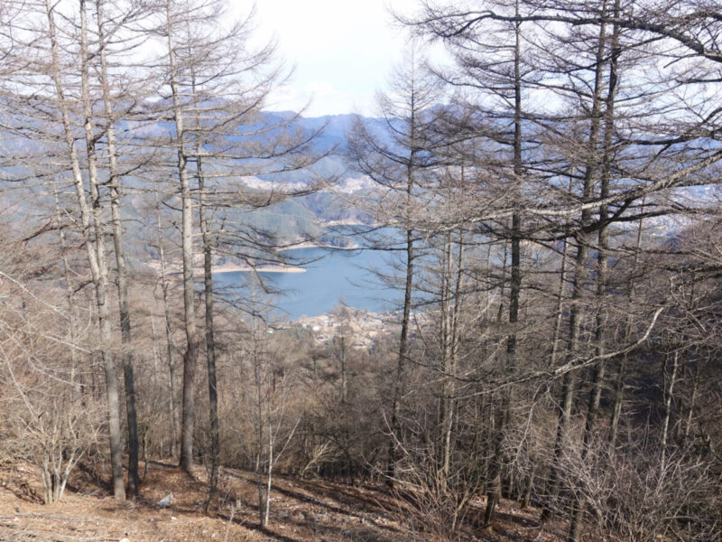 足和田山からの西湖