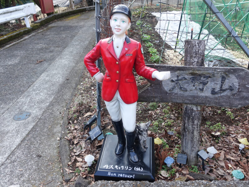 丹沢キャサリン（妹）